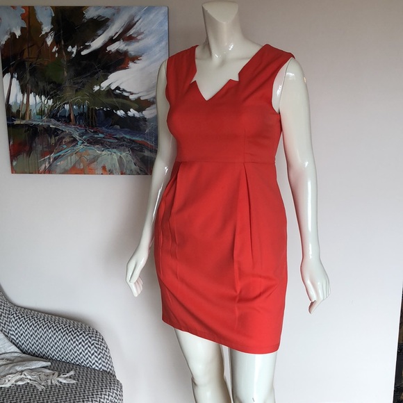 Pink Martini- Fit and Flare - Picture 3 of 12